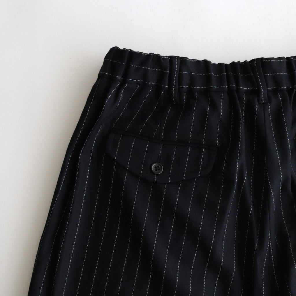 Saxony Flannel Trousers #STRIPE [TP233-40033]