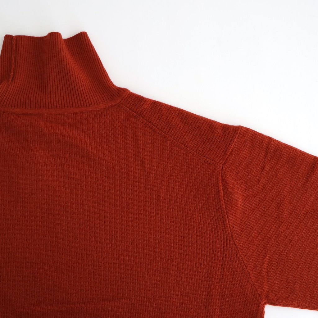 Turtle Neck #BRICK [2503-006]