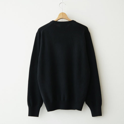 EXTRA FINE WOOL KNIT CREW NECK LS #BLACK [ST.1634]