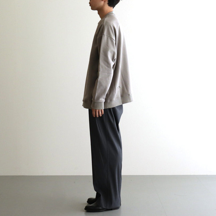 カラーチップSWトレーナー #GREIGE [D224-T985]