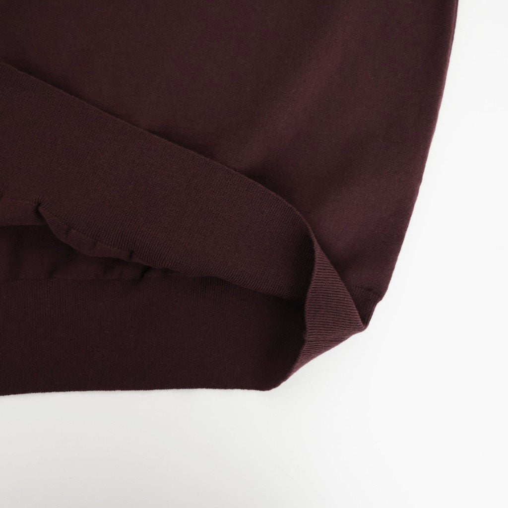 HIGH TWIST WOOL KNIT V-NECK P/O #RED BROWN [A26AV02CK]