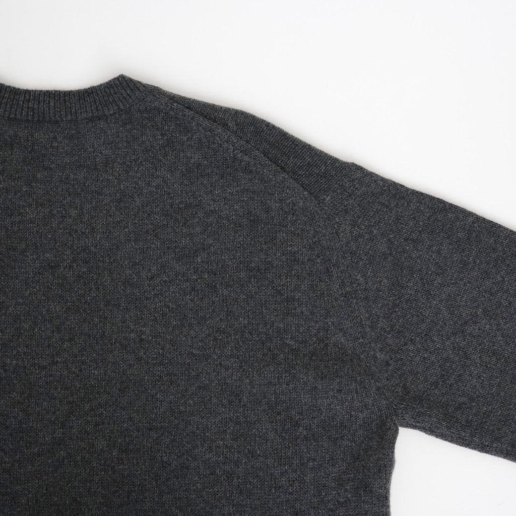 LIGHT CASHMERE KNIT V-NECK P/O #CHARCOAL [A26AV03CJ]