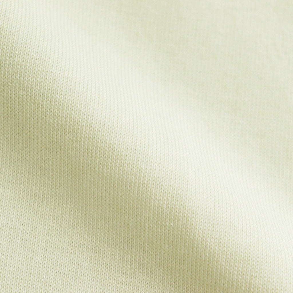 LUSTER PLAITING BOAT NECK TEE #IVORY PISTACHIO [A00P04GT]