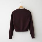 HIGH TWIST WOOL KNIT V-NECK P/O #RED BROWN [A26AV04CK]