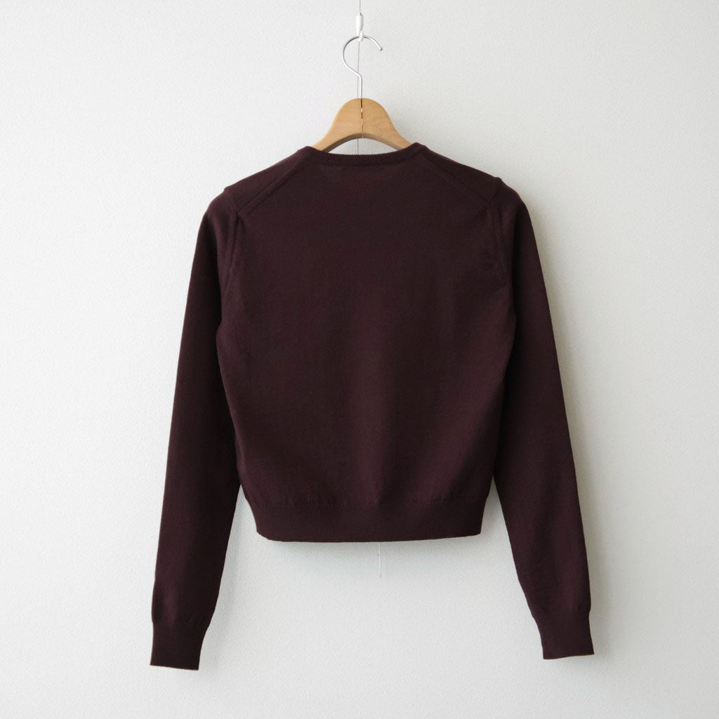 HIGH TWIST WOOL KNIT V-NECK P/O #RED BROWN [A26AV04CK]