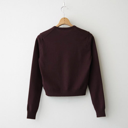 HIGH TWIST WOOL KNIT V-NECK P/O #RED BROWN [A26AV04CK]
