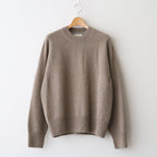 Cashmere Wholegarment Crewneck Sweater #BEIGE [YK25FW01116S]