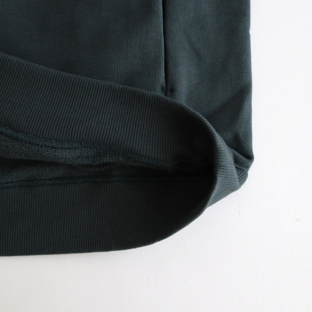 カラーチップSWトレーナー #GREEN [D224-T985]