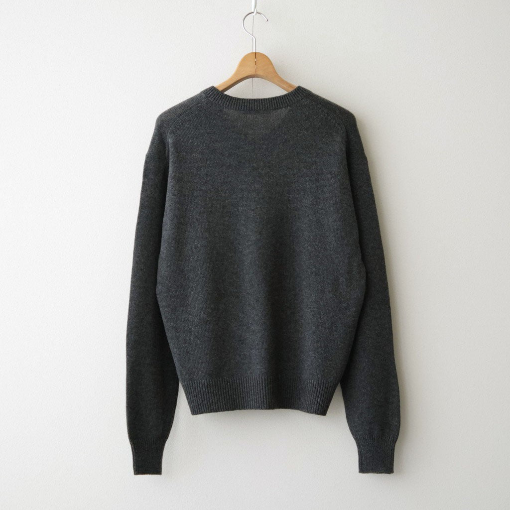 LIGHT CASHMERE KNIT V-NECK P/O #CHARCOAL [A26AV03CJ]