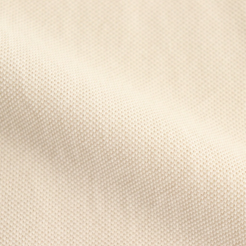 HIGH GAUGE PIQUE POLO #IVORY [A25SP01HK]