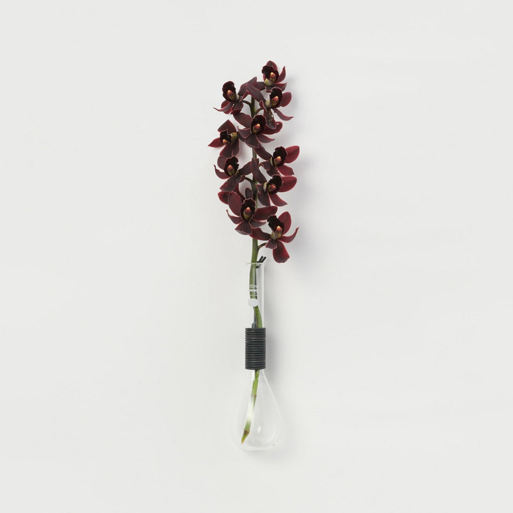 Kjeldahl flask long neck/100ml #black [sv-kl-100]