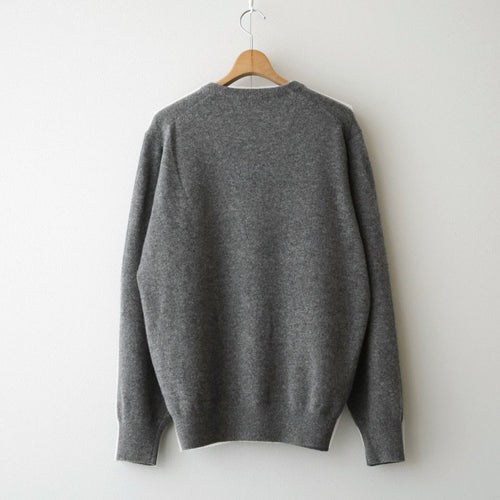 EXTRA FINE WOOL KNIT CREW NECK LS #GREY [ST.1634]