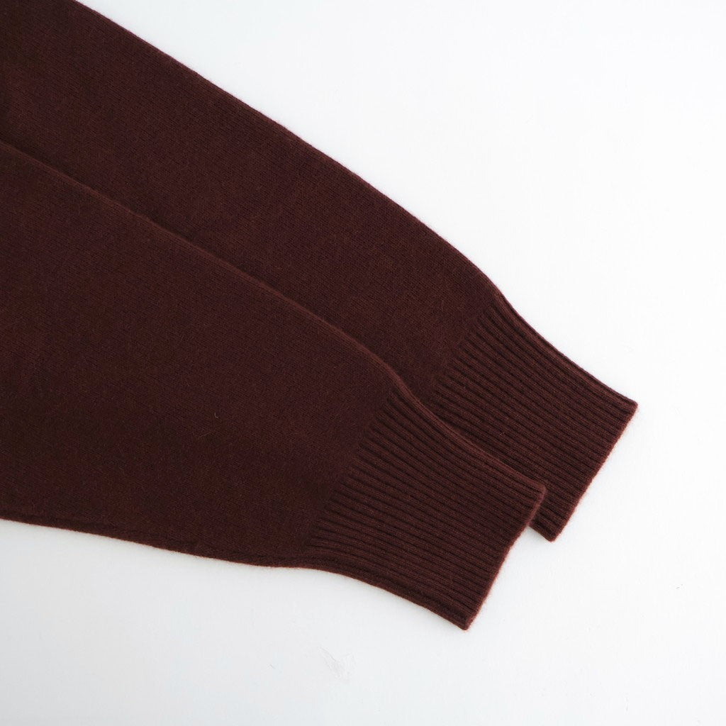 Cashmere V Neck #BORDEAUX BROWN [I25AW-IBC63]