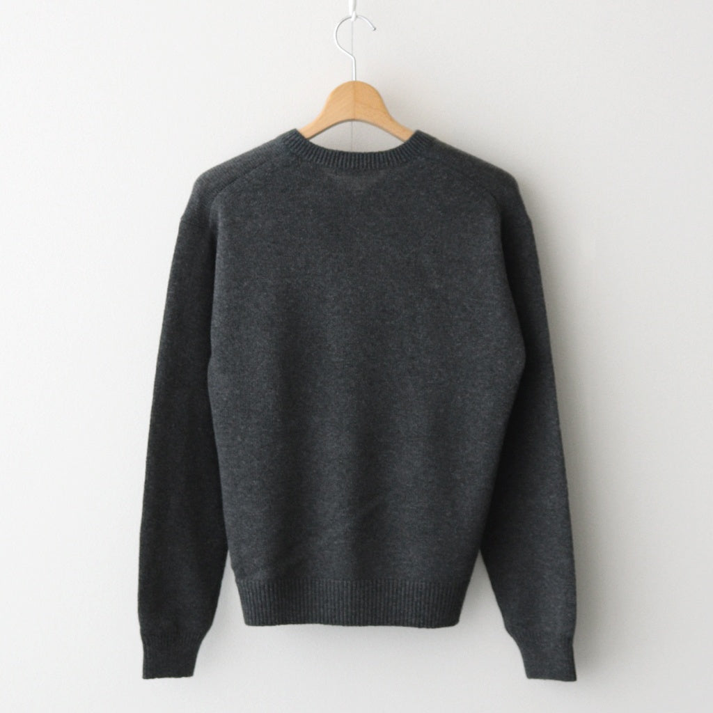 LIGHT CASHMERE KNIT V-NECK P/O #CHARCOAL [A25AV06CJ]