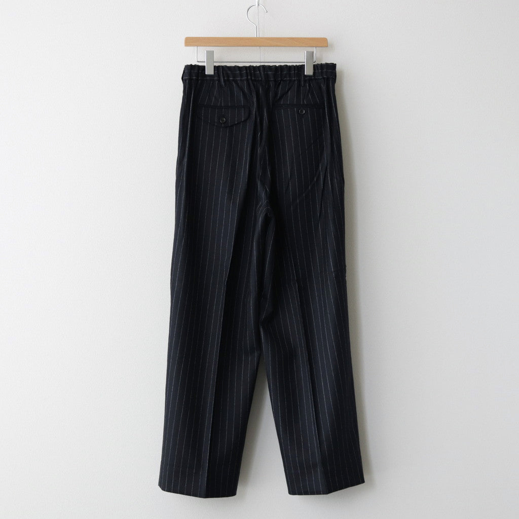 Saxony Flannel Trousers #STRIPE [TP233-40033]