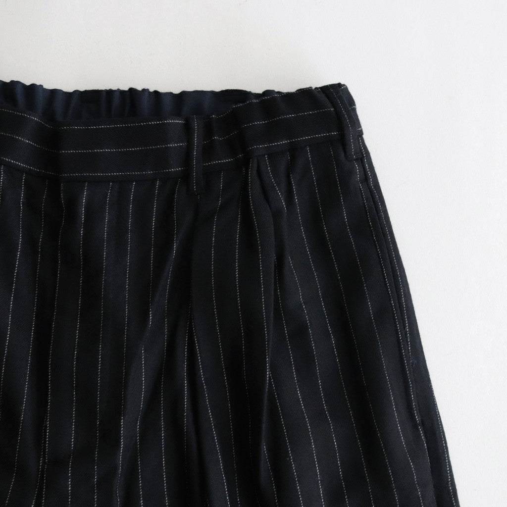 Saxony Flannel Trousers #STRIPE [TP233-40033]