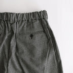 Saxony Flannel Trousers #CHECK [TP233-40033]