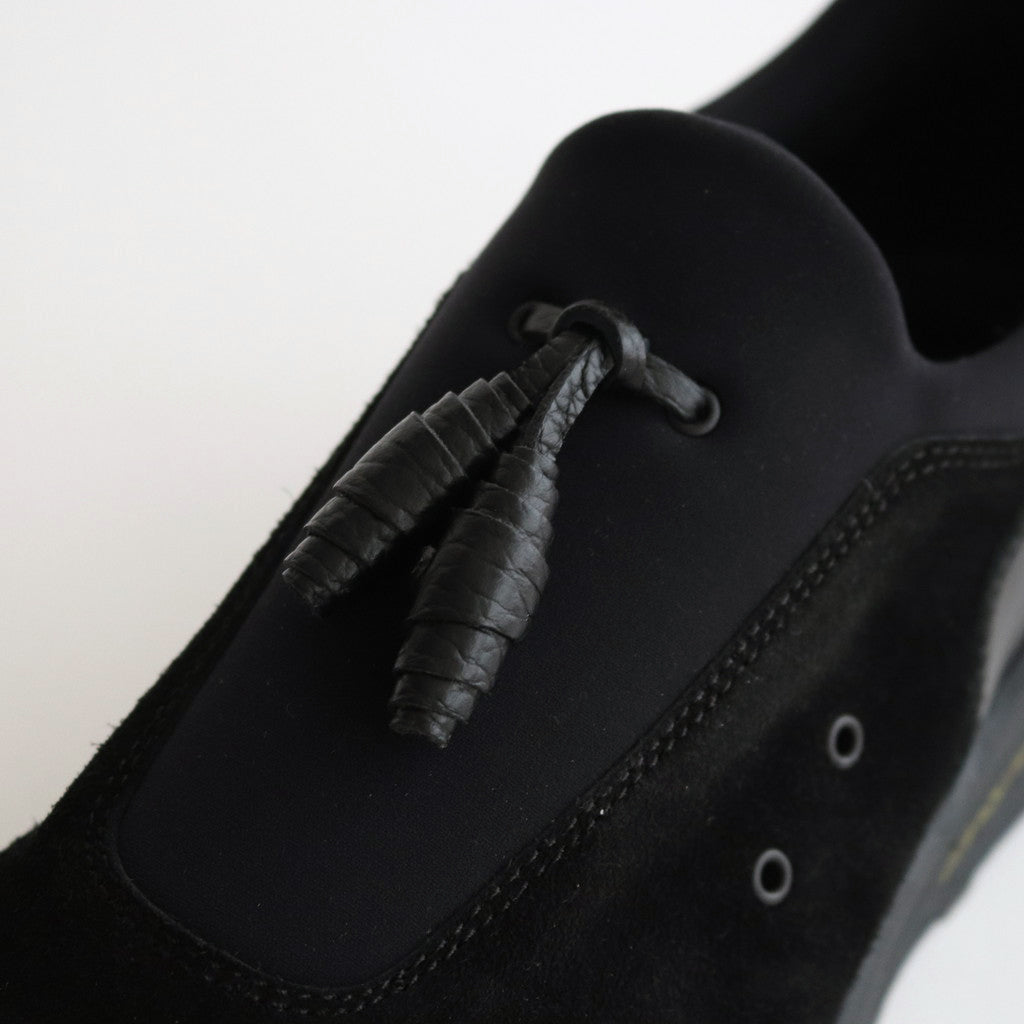 species #black [ur-s-spe]