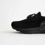 species #black [ur-s-spe]