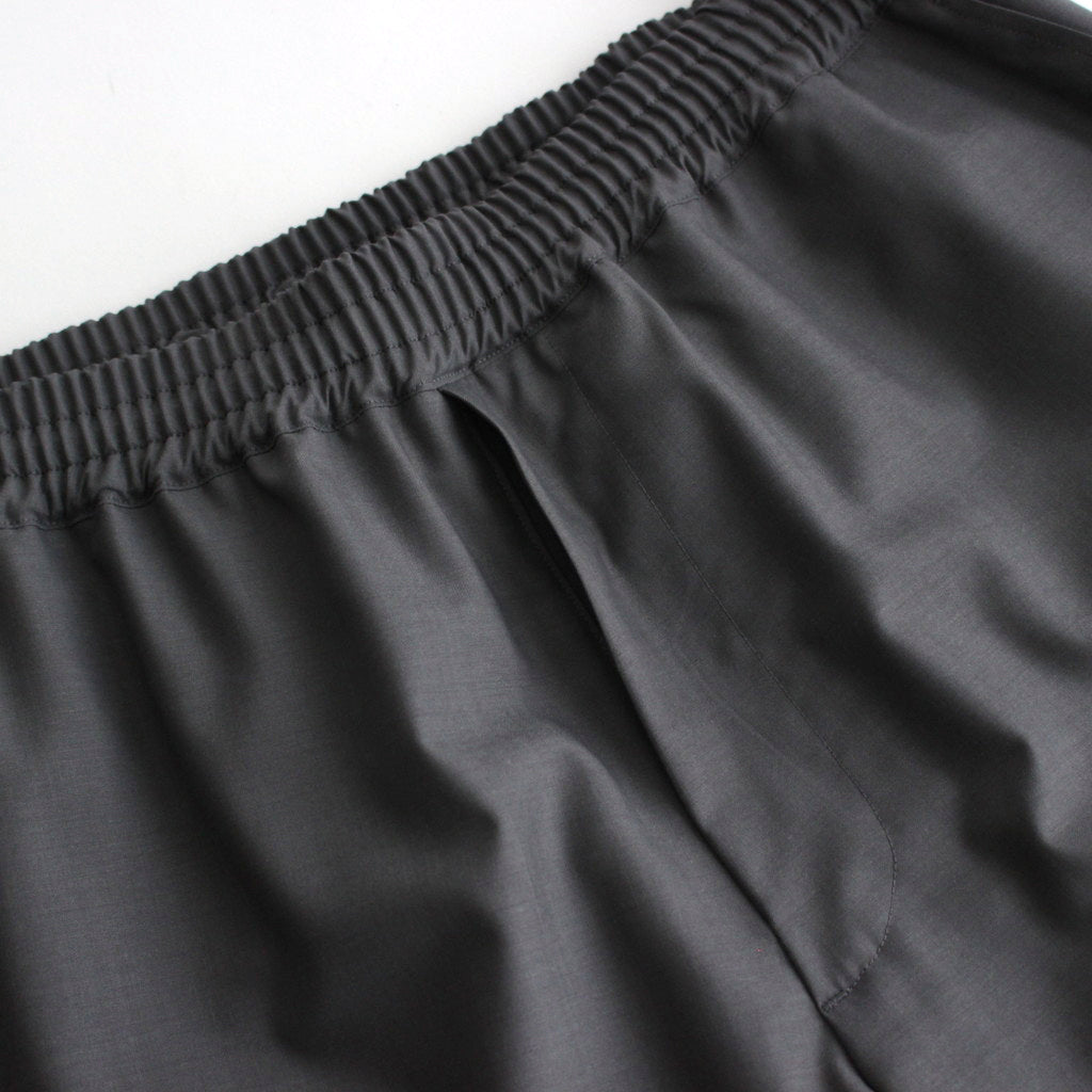 Fine Wool Tropical Easy Wide Pants #GRAY [GM241-40042]