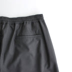 Fine Wool Tropical Easy Wide Pants #GRAY [GM241-40042]