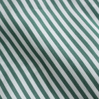 Broad S/S Oversized Regular Collar Shirt #GREEN STRIPE [GM241-50003STB]