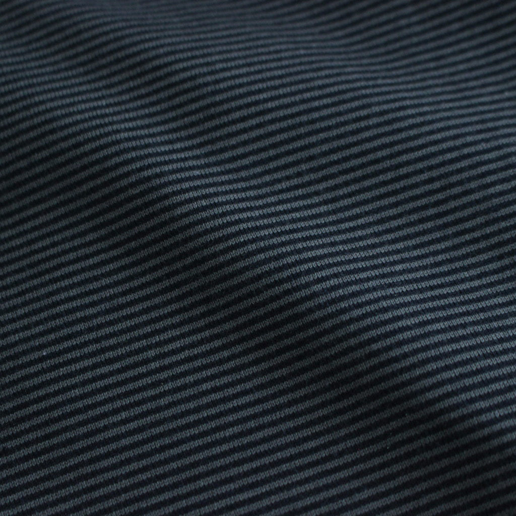 Narrow Border L/S Tee #NAVY × GRAY [GU241-70117B]