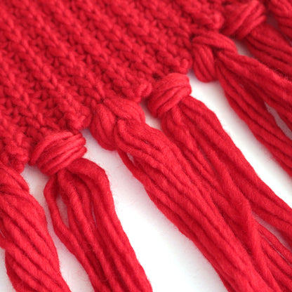 CHUNKY KNIT SCARF #RED [L2302-AC010]