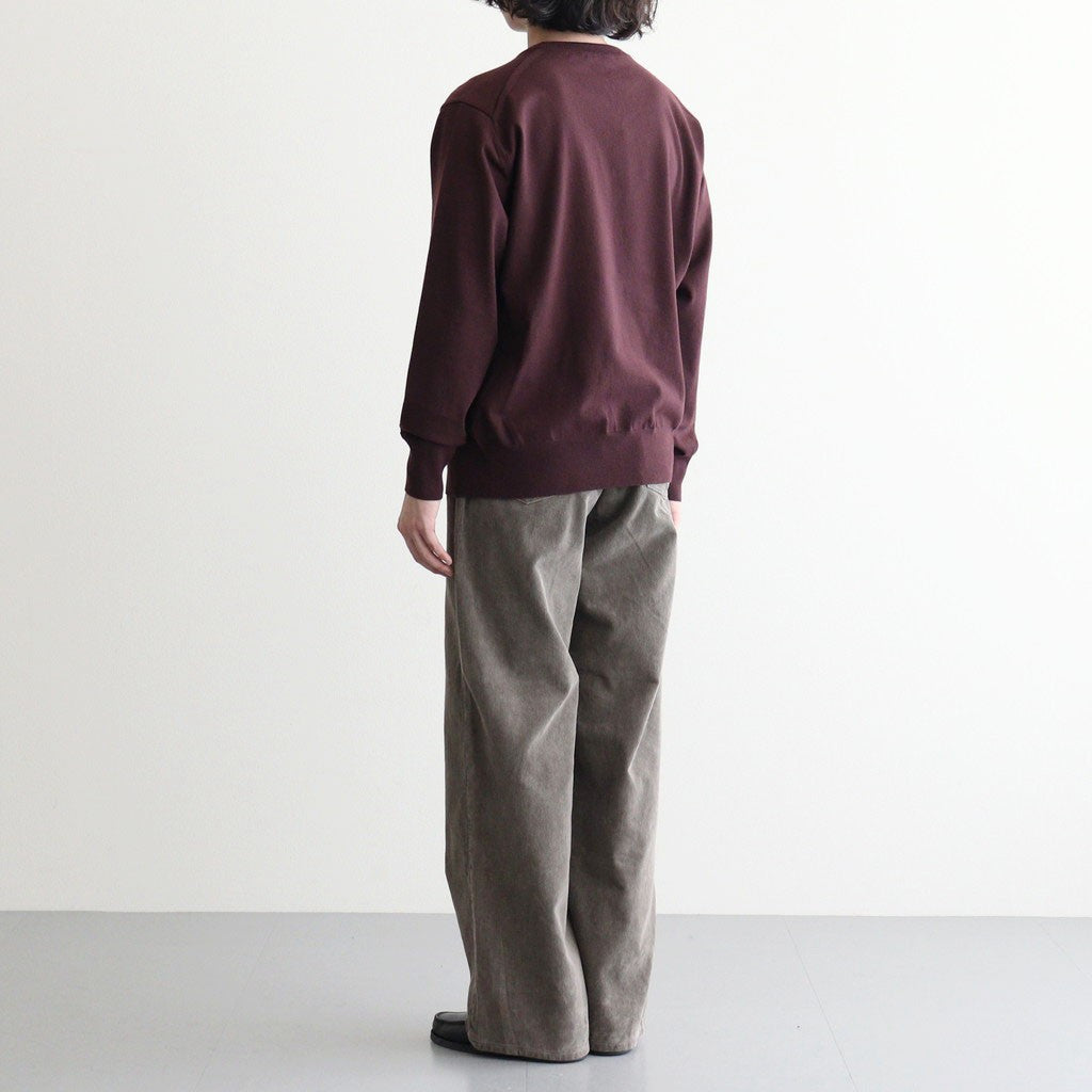 HIGH TWIST WOOL KNIT V-NECK P/O #RED BROWN [A26AV02CK]