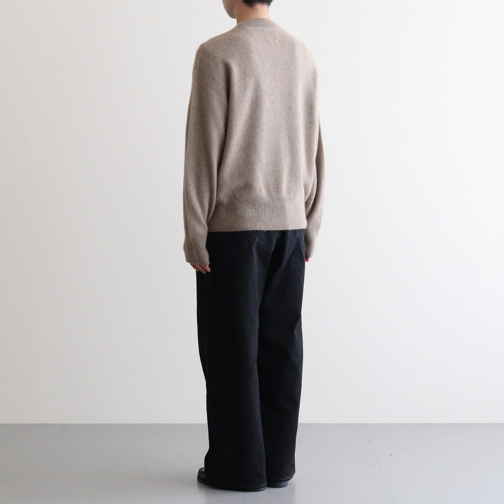 Cashmere Wholegarment Crewneck Sweater #BEIGE [YK25FW01116S]