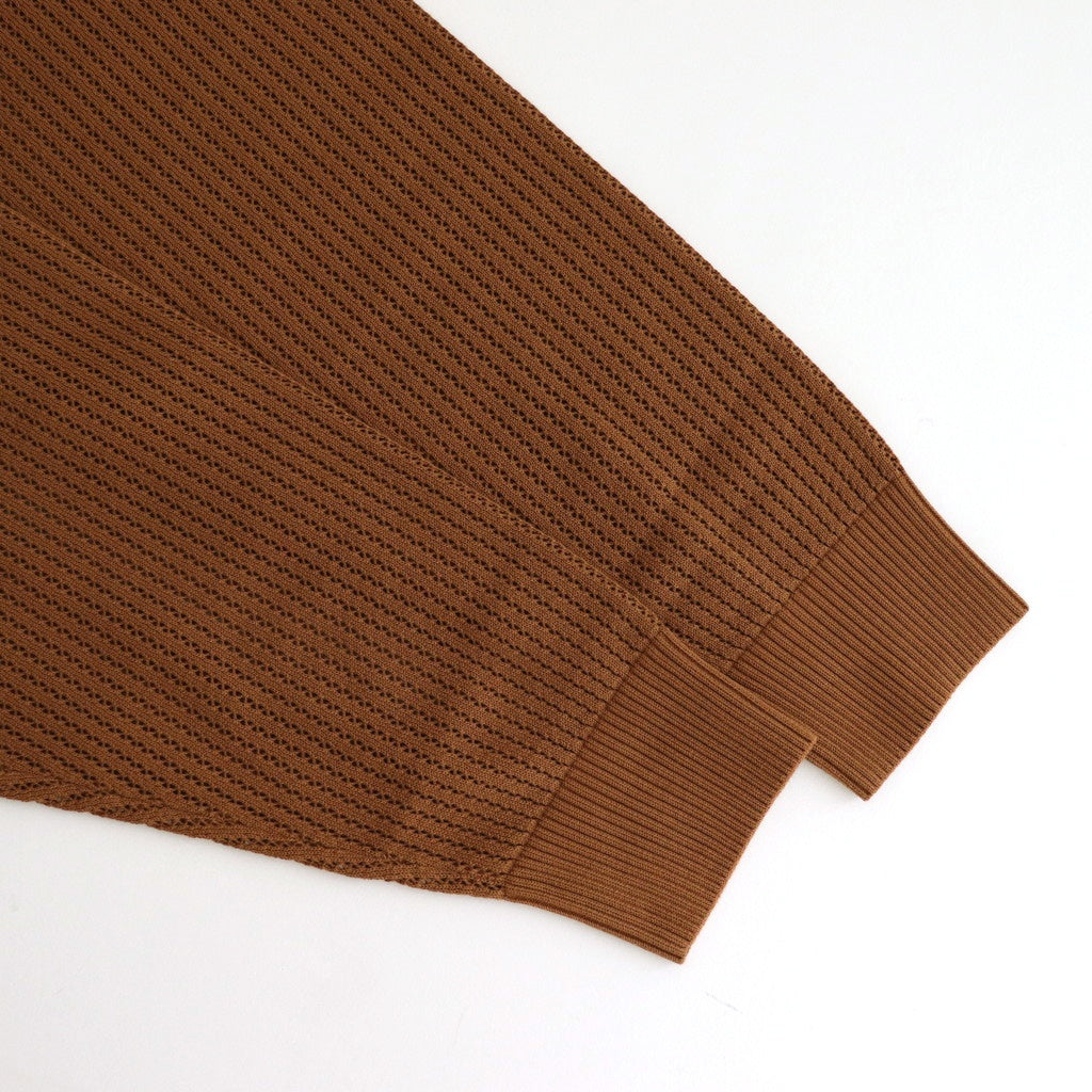 Stripe Mesh Knit Shirt #Brown [2501-008]
