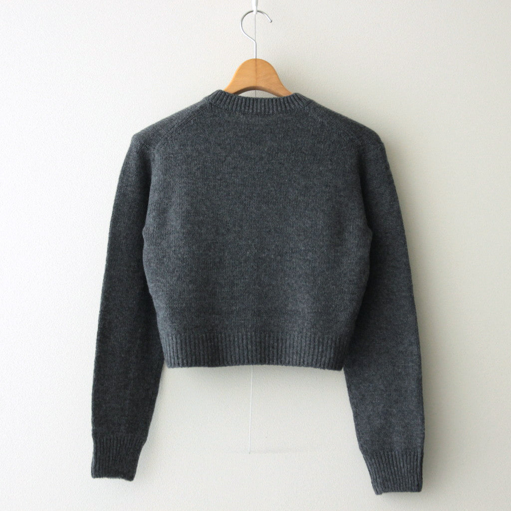 WOOL CASHMERE SILK KNIT SHORT P/O #GRAY [A24AP02WC]