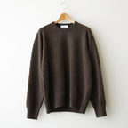 EXTRA FINE WOOL KNIT CREW NECK LS #MOCHA [ST.1634]