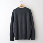 Cashmere V Neck #CHARCOAL [I25AW-IBC63]