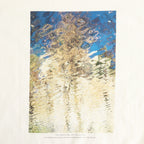 PHOTO PRINT ORGANIC COTTON T-SHIRT by TARO MIZUTANI #WHITE [YK25SS0979CS]