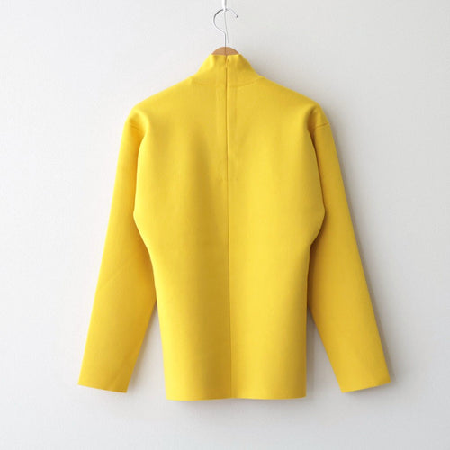 FINE WORSTED WOOL MILANO RIB KNIT TURTLE #MUSTARD [A26AT01CR]