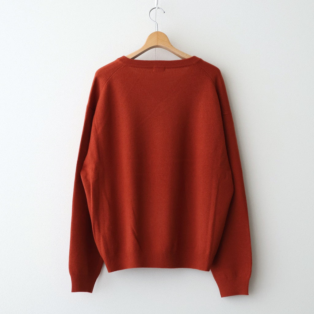 V Neck P/O #BRICK [2503-005] – ciacura