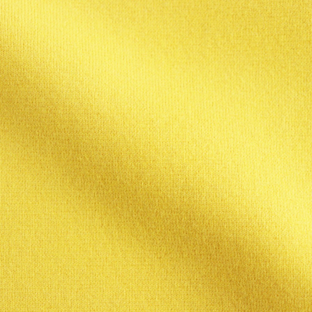FINE WORSTED WOOL MILANO RIB KNIT TURTLE #MUSTARD [A26AT01CR]