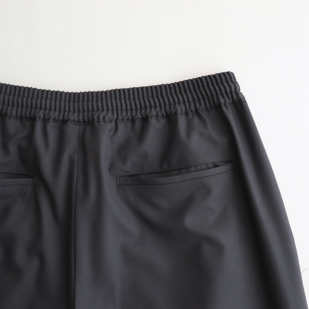 Extra Fine Wool Easy Wide Pants #GRAY [GM251-40093B]