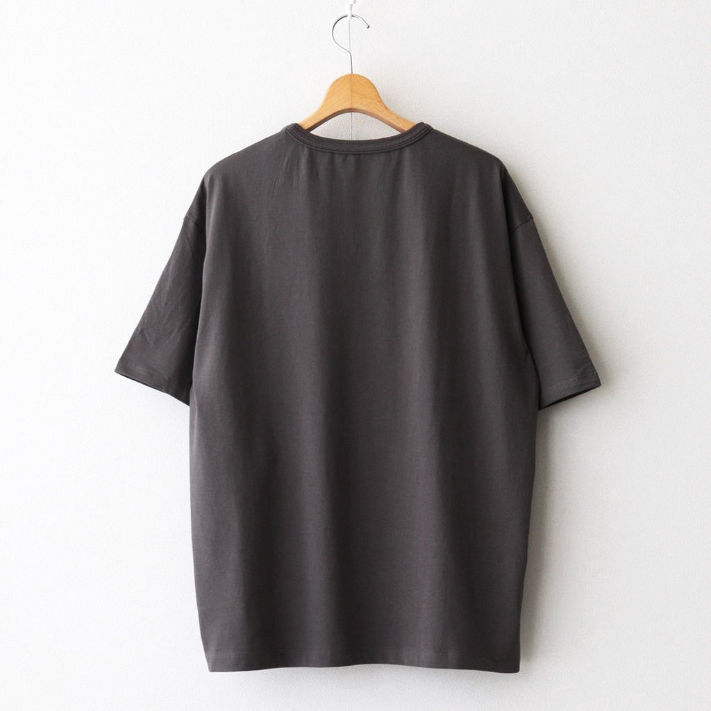 Ordinary T #Pewter [AOESTS009]