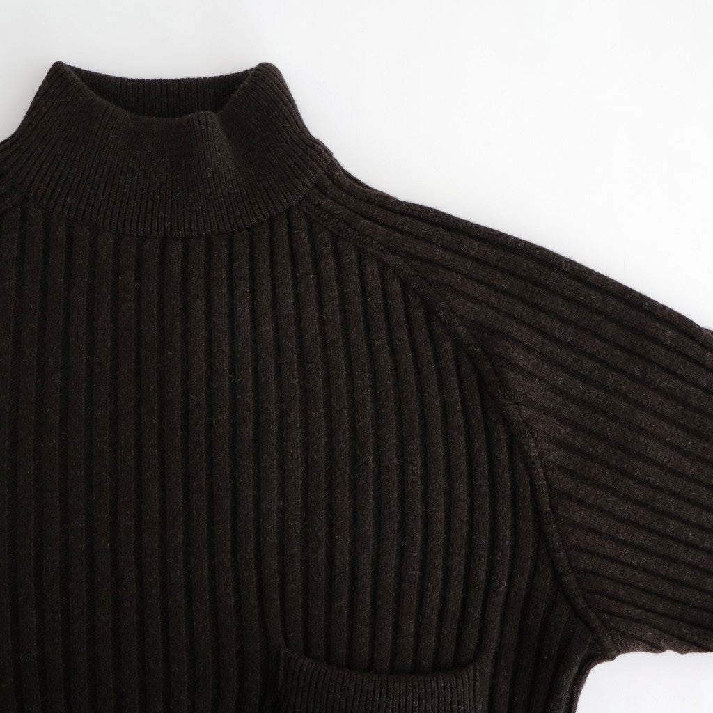 Wide Rib Highneck Sweater #BROWN [YK25FW01100S]
