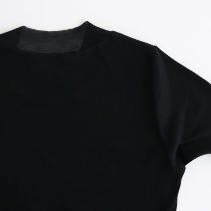 SUPER HIGH GAUGE SHEER RIB TEE #BLACK [A00T03HF]