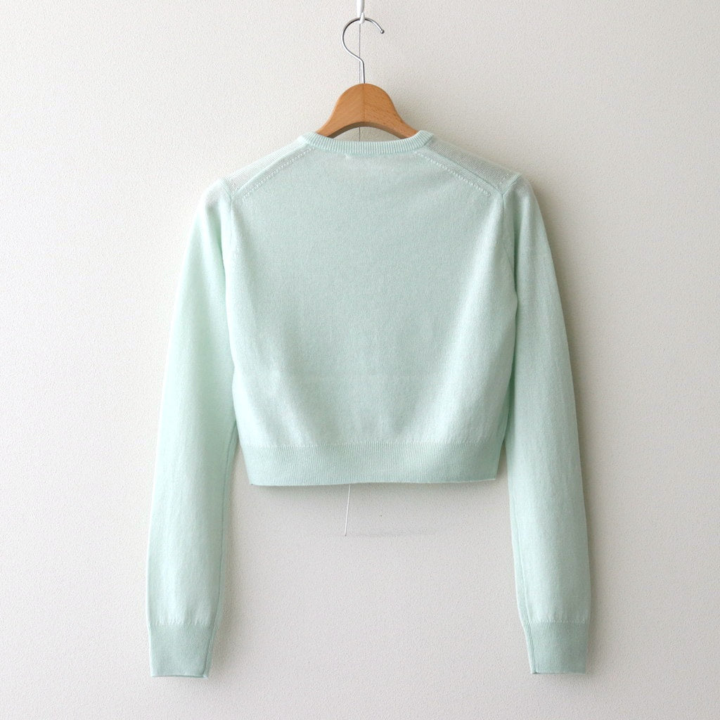 SUPER FINE CASHMERE SILK KNIT HENLY NECK P/O #WHITE GREEN [A25SP05SC]