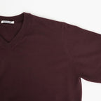 HIGH TWIST WOOL KNIT V-NECK P/O #RED BROWN [A26AV02CK]