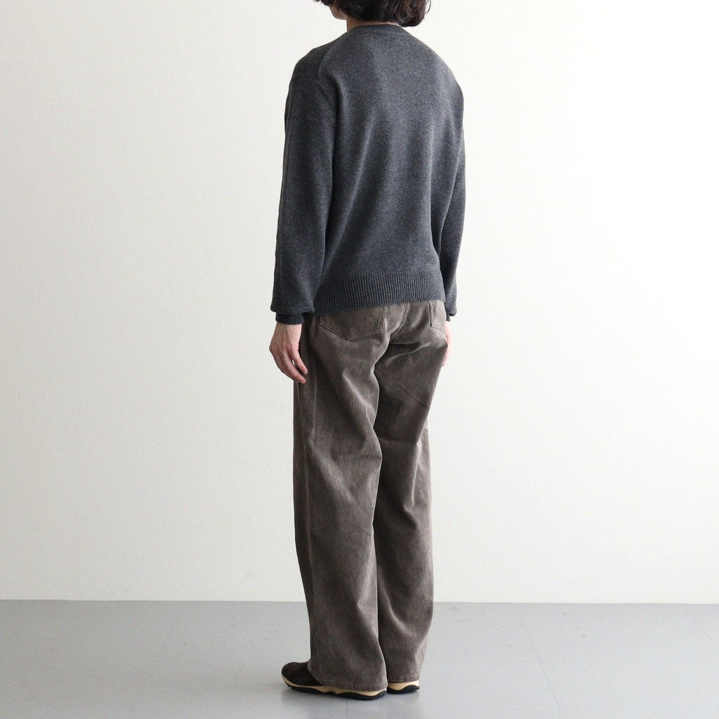 LIGHT CASHMERE KNIT V-NECK P/O #CHARCOAL [A26AV03CJ]