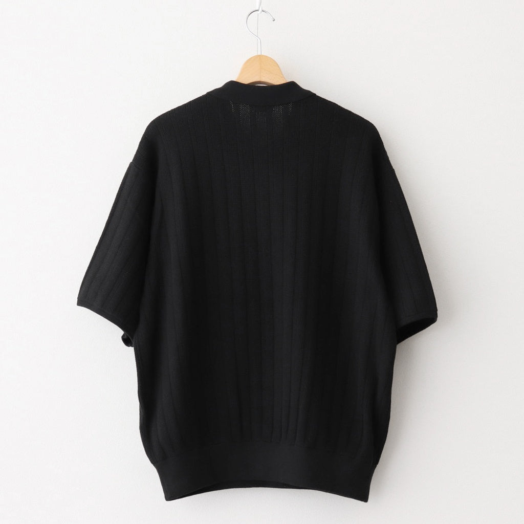 Rib Pattern Half Zip Polo #Black [2501-012]