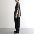 Ordinary T #Pewter [AOESTS009]