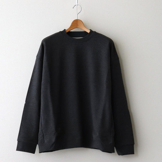 Color Chip SW Sweatshirt #CHARCOAL GRAY [D224-T985]