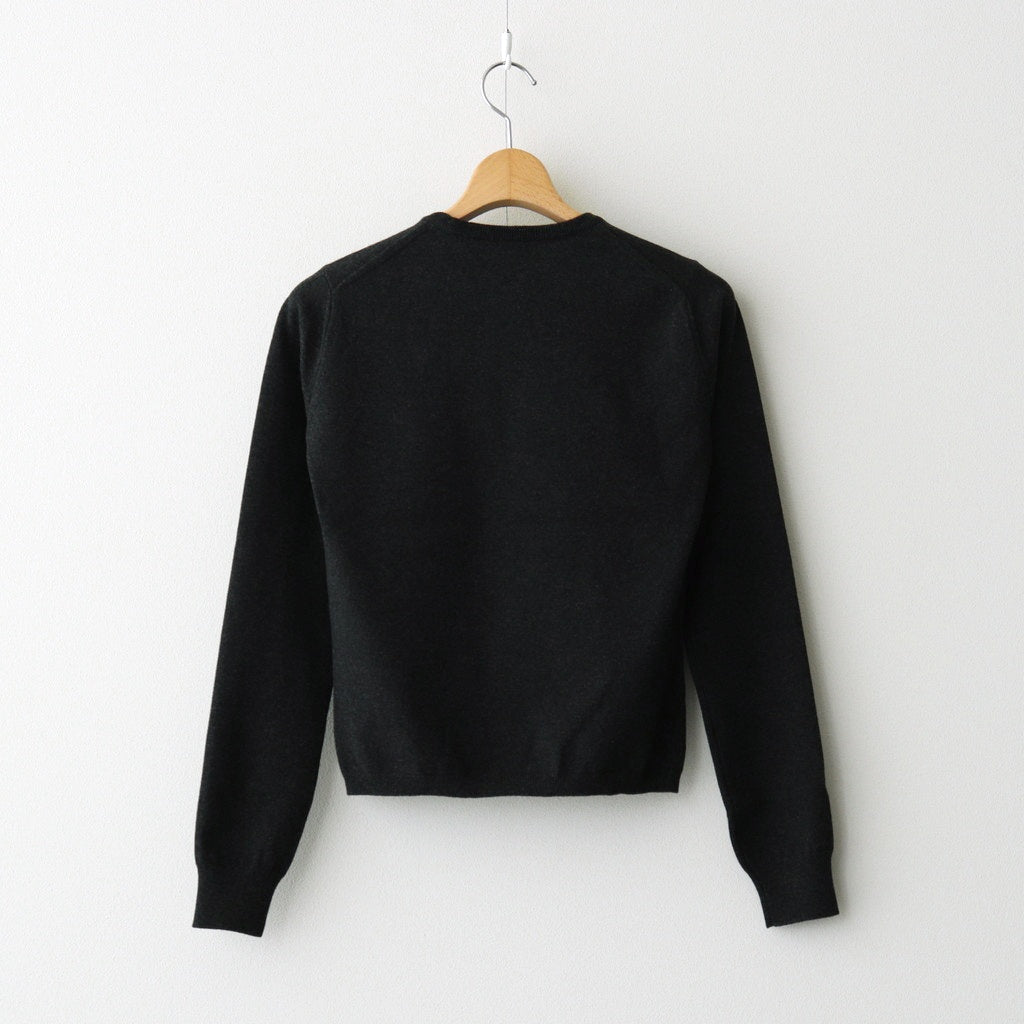 HIGH TWIST WOOL KNIT VーNECK P/O CHACOAL AURALEE】 ⁡ HIGH TWIST WOOL KNIT V-NECK P/O COLOR : CHARCOAL
