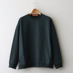 カラーチップSWトレーナー #GREEN [D224-T985]